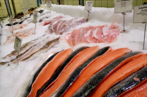 Zu sehen ist eine Aufnahme von rohem Fisch in einer Eisauslage. Mehrere Fische liegen in filetiertem Zustand in Eis; unter anderem Lachs, Victoriaseebarschfilet und Kabeljaufilet. Kleine weiße Steckschilder geben Auskunft über Art und Herkunft des Fisches.